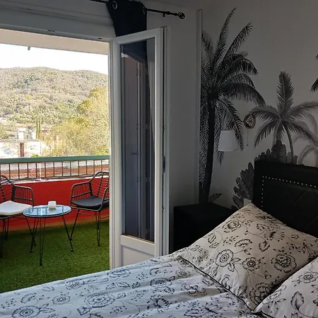Las Tortoras Apartment Amelie-les-Bains-Palalda